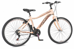 EXPLORER CLASSIC ROSEGOLD BRAON BOJE 2017 EUR1