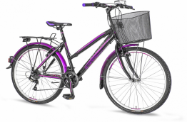 EXPLORER ELITE LADY CRNO LJUB.ROZE BOJE 2016 EUR1