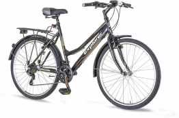 EXPLORER SPARKLES LADY CITY CRNE NAR.SIVE 2016 EUR1
