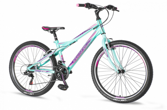 EXPLORER VORTEX TIRKIZ LJUB. ROZE BOJE 2016 EUR1